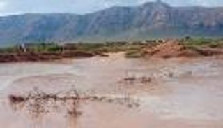 تأثير "تيج" يعزل سقطرى اليمنية.. إيقاف حركة المرور وانقطاع الاتصالات