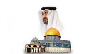 الشيخ محمد بن زايد آل نهيان رئيس دولة الإمارات