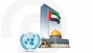 جهد إماراتي قياسي لوقف حرب غزة.. 54 اتصالاً ولقاءً وقمة و550 طن مساعدات