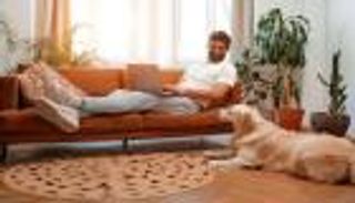 إليك أفضل أنواع الكلاب التي يمكن تربيتها في المنزل