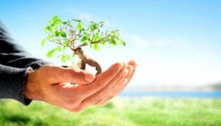 الإعلام يلعب دورًا مهمًا للحد من التغيرات المناخية - تعبيرية