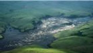 «نهر الشاي».. حقائق عن أكثر المسطحات المائية ظلاما حول العالم (فيديو)