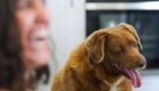 نفوق أكبر كلب في العالم.. كم بلغ عمره؟