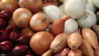 أنواع مختلفة من البصل - أرشيفية