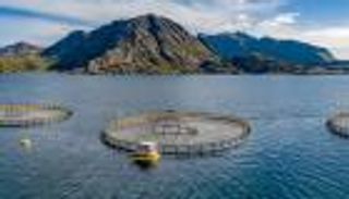 نفايات أسماك ناميبيا.. قصة ملهمة في الابتكار المستدام