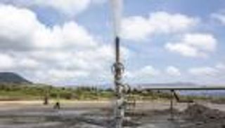 تجربة كينيا المناخية.. واقعية «مثمرة» تدعمها الإمارات