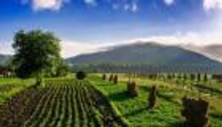 بين الحداثة والتقليد.. الزراعة في أوروبا تكسر تابوه المناخ