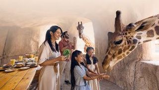 الإمارات وجهة عالمية للسياحة المستدامة