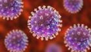 فيروس قاتل يطرق أبواب فرنسا.. يفتك بـ4 من كل 10 مصابين