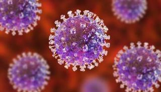 حمى القرم هي مرض واسع الانتشار يسببه فيروس يحمله القراد