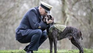 الكلب هيرتز بعد تكريمه - أرشيفية