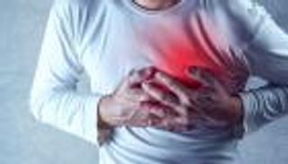 تجديد خلايا القلب.. تجربة علمية تكشف مفاجأة