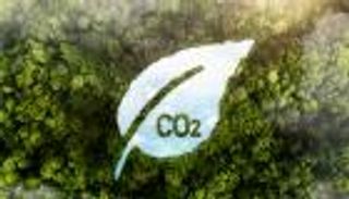 5 طرق لتقليل بصمتك الكربونية.. بماذا ستبدأ؟