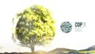 مؤتمرات المناخ.. 18% نصيب العرب من استضافة COP ومبادرات جديدة بقمة دبي