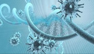 أوبئة تهدد البشرية