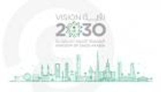 207 مليارات دولار رصيد الاستثمار الأجنبي المباشر في السعودية