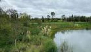 حماية الأراضي الرطبة.. الصين نموذج ملهم في مواجهة الظاهرة