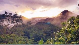 ماذا تعرف عن مؤشر المستقبل الأخضر؟