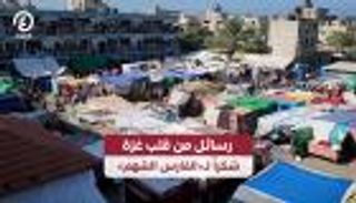 رسائل من قلب غزة.. شكرا لـ«الفارس الشهم» (خاص)