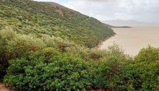 بحيرة إشكل في تونس