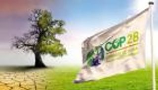 الطريق إلى COP28.. دليلك الشامل للتعرف على أنشطة المنطقة الخضراء