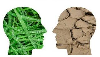 تغيّر المناخ يؤدي إلى تفاقم  الأمراض العصبية