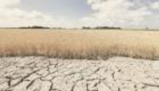 دروس من التاريخ للتكيف مع المناخ.. هكذا كان يتعامل سكان العالم قديما