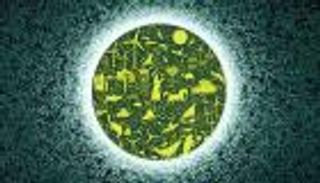 شهادة دولية جديدة.. قمة «COP28» في الإمارات حاسمة وفريدة من نوعها