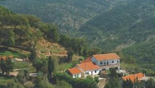 غابات عين دراهم شمال غربي تونس - أرشيفية