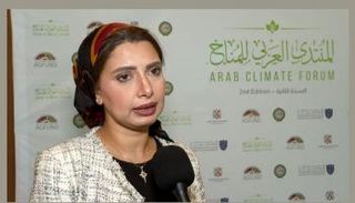 الدكتورة هدى البكر المدير التنفيذي للشبكة العربية للمنظمات الأهلية