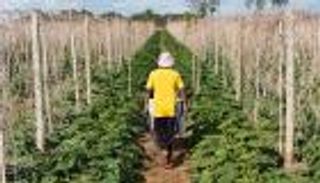 حرمان المزارعين الصغار من الدعم.. لمن يذهب التمويل الدولي للمناخ؟    