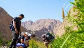 فعالية بوب كوب لتعزيز المشاركة المجتمعية في COP28