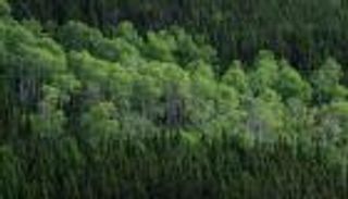 نيويورك تايمز: اجتماعات ناجحة في أبوظبي تضيء نفقا معتما حول المناخ