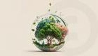 استراتيجية الإمارات للحياد المناخي 2050.. 25 برنامجا و6 قطاعات