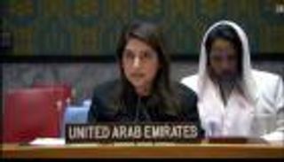 رسائل دعم إماراتية قوية للسودان في مجلس الأمن