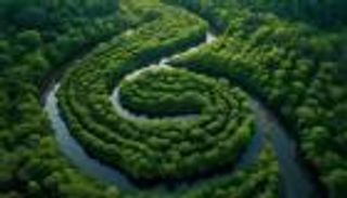 فاتورة تغير المناخ.. الأعاصير تهدد حياة 40% من سكان المناطق الساحلية 