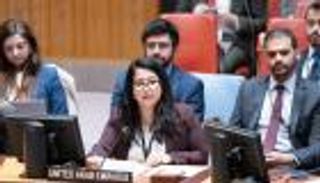 الإمارات ومالطا تدعوان لعقد اجتماع لمجلس الأمن بشأن فلسطين