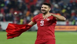 ألكسندر ميتروفيتش