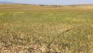 تونس والمناخ المتطرف.. معاناة أكبر من الهجرة غير الشرعية والنزوح