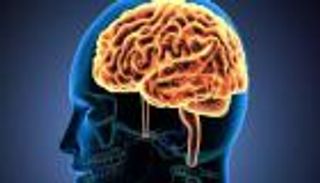 هل يشفي العلاج الطبيعي مريض التصلب المتعدد؟.. استشاري يشرح المؤشرات لـ«العين الإخبارية»