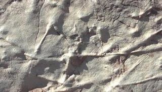 الآثار المكتشفة