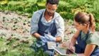 الوظائف الخضراء.. ركيزة العالم لحماية الكوكب