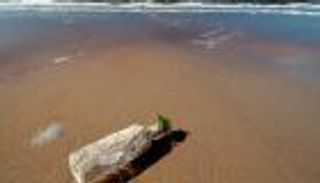 «زجاجات السحرة».. قطع أثرية «مخيفة» تثير الرعب على شواطئ أمريكية (صور)