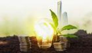 بيئة مستدامة ومرنة مناخياً.. الإمارات رائدة ونموذجاً يحتذى