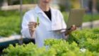 كيف يظهر الابتكار كحل حاسم لمواجهة التغير المناخي؟.. الإجابة خلال COP28