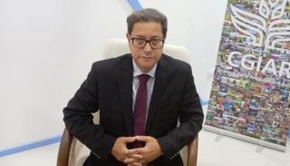 المهندس علي أبو سبع مدير عام الإيكاردا