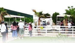 السياحة الزراعية في الإمارات