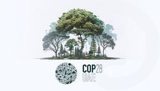 مؤتمر الأطراف COP28