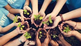 العمل التطوعي