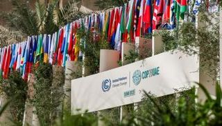 COP28 يدخل يومه الثامن